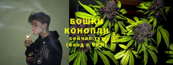 крисы Абаза