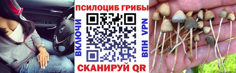 наркота  Каменск-Уральский  Псилоцибиновые грибы GOLDEN TEACHER 