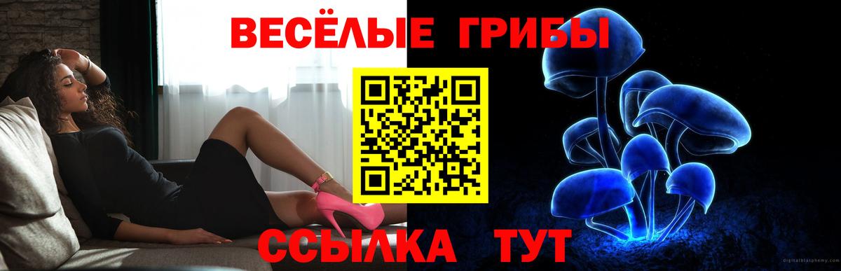 Галлюциногенные грибы Psilocybine cubensis  Галлюциногенные грибы GOLDEN TEACHER  Вход с VPN  Каменск-Уральский 